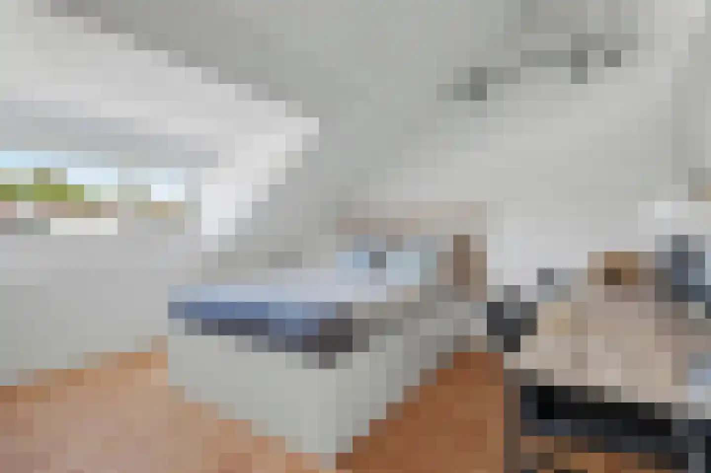 Hofwijck 28 Almelo thumbnail 23