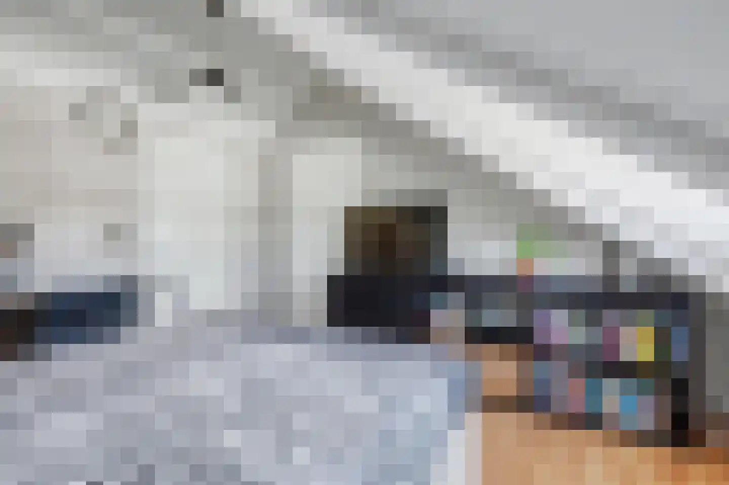 Hofwijck 28 Almelo thumbnail 24