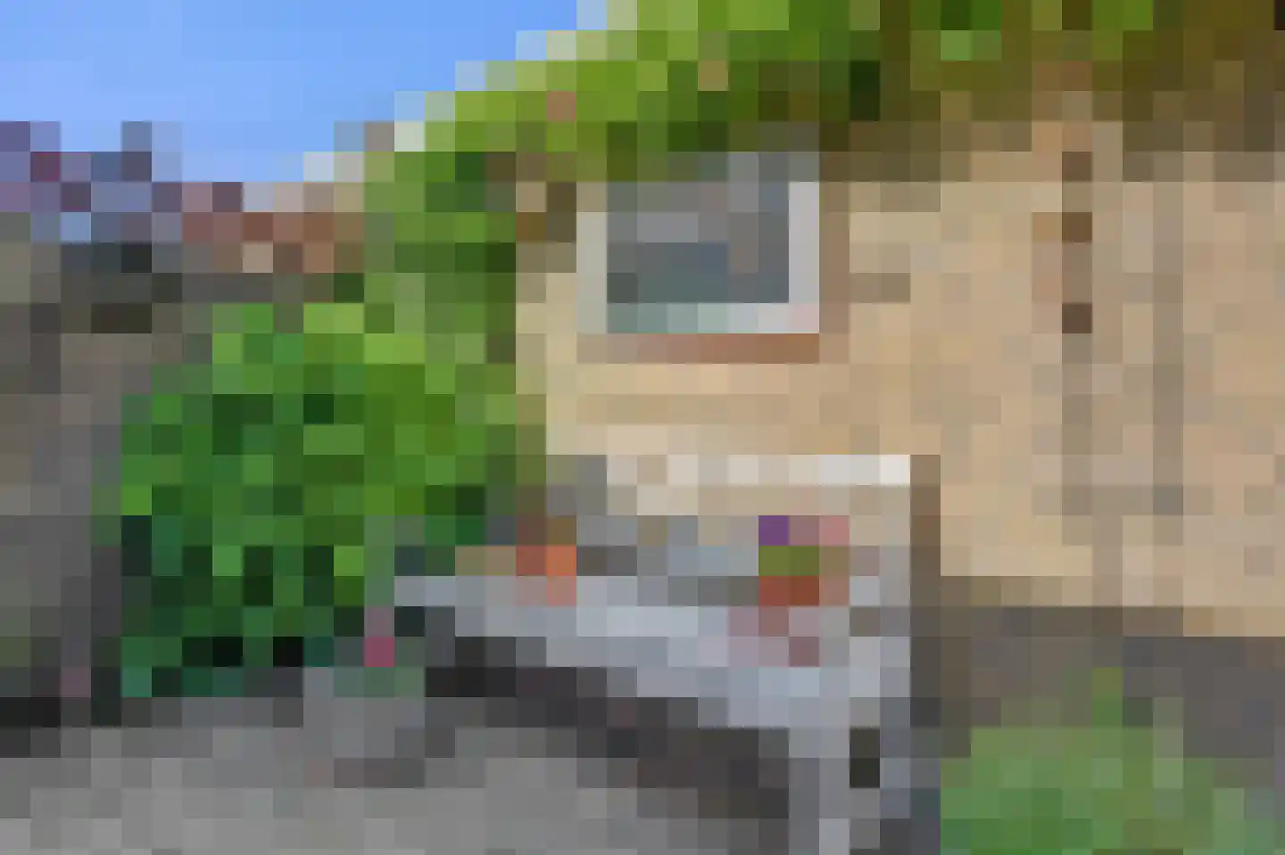 Hofwijck 28 Almelo thumbnail 28