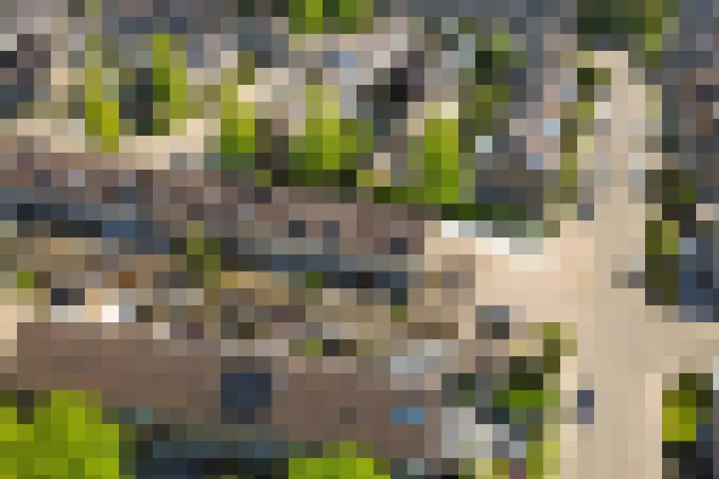 Hofwijck 28 Almelo thumbnail 33