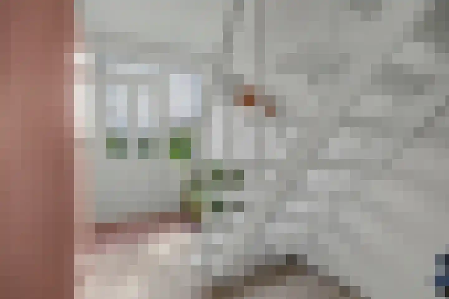 Hofwijck 28 Almelo thumbnail 5