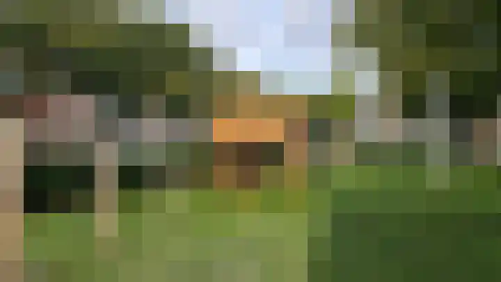 Hofwijckplein 74 D Den Haag thumbnail 11