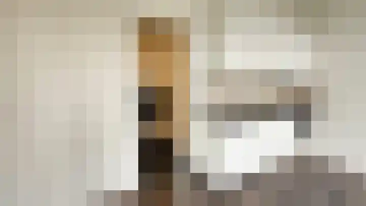 Hofwijckplein 74 D Den Haag thumbnail 6