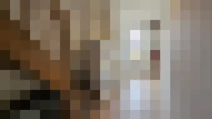 Hofwijckplein 74 D Den Haag thumbnail 9
