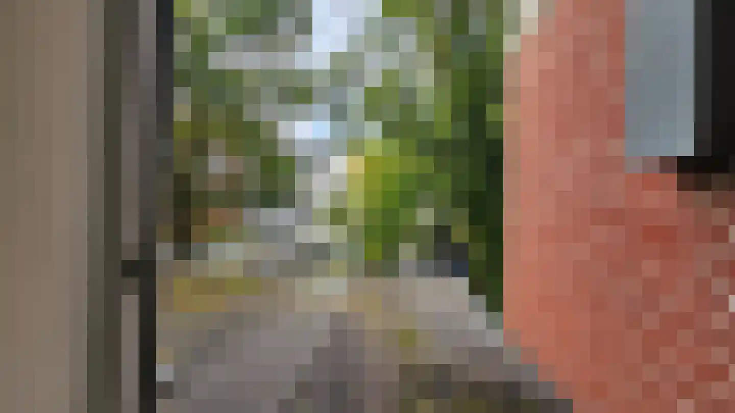 Hofwijckplein 74 E Den Haag thumbnail 7
