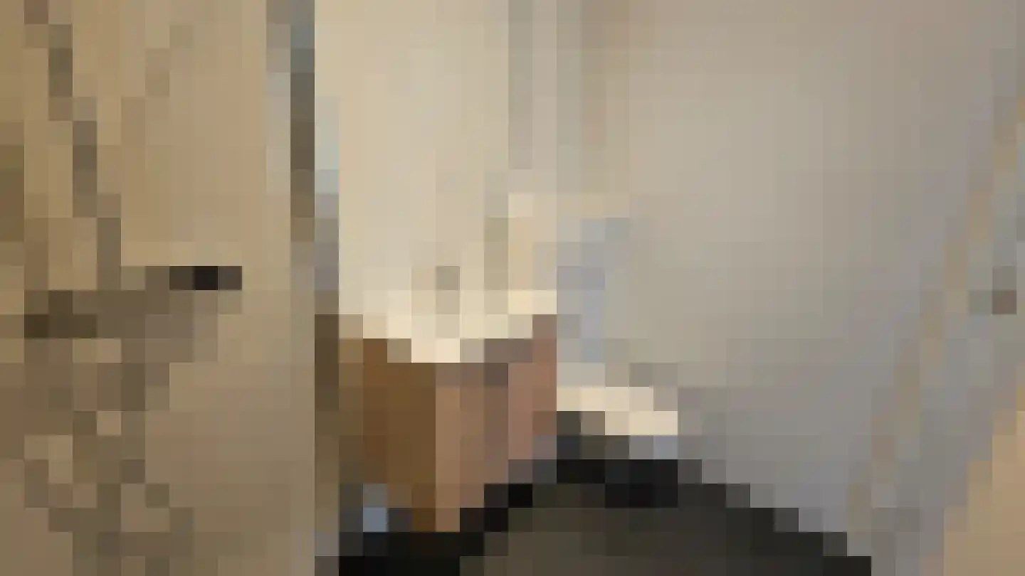 Hofwijckplein 74 E Den Haag thumbnail 9