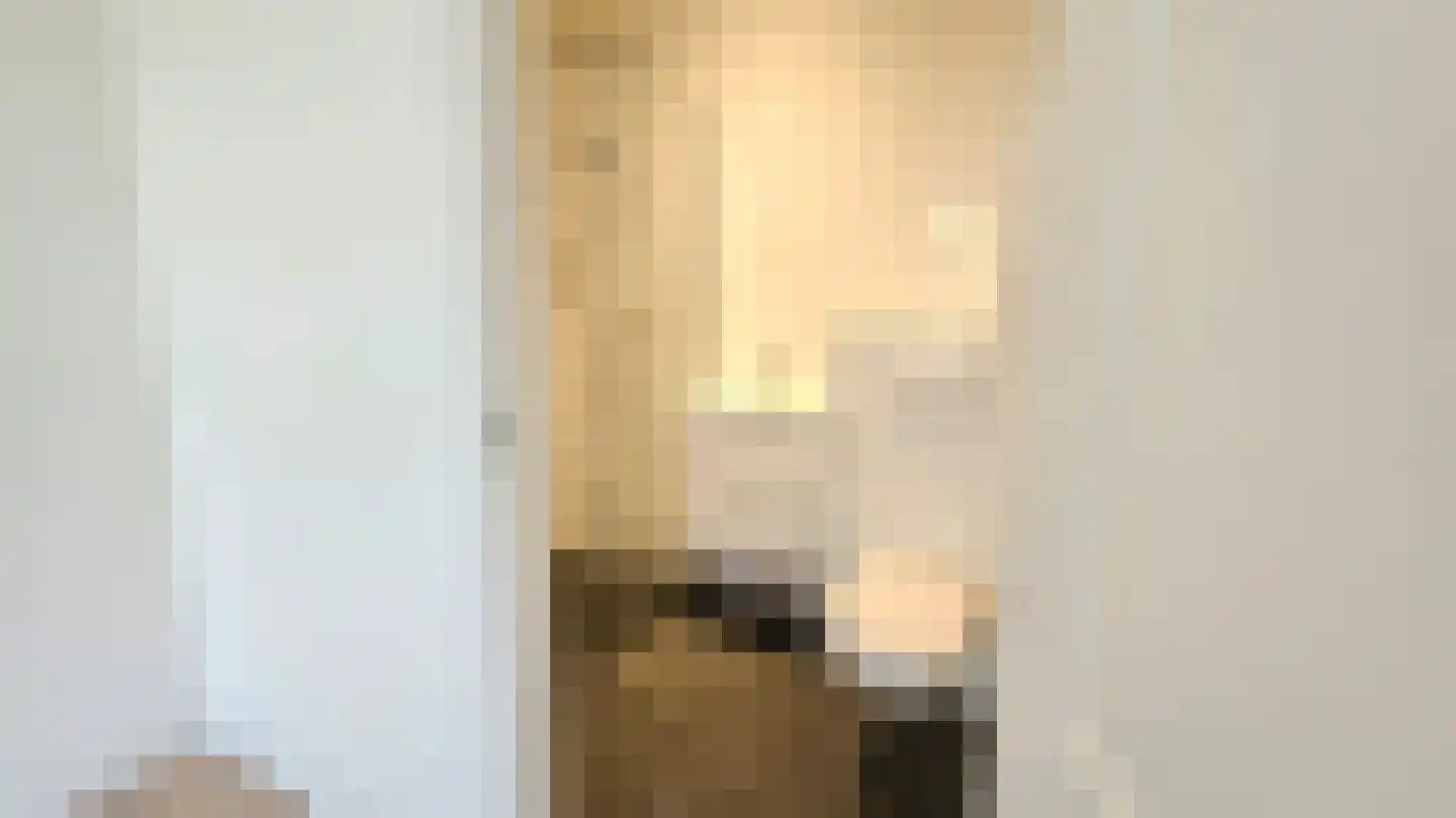 Hofwijckplein 74 J Den Haag thumbnail 8