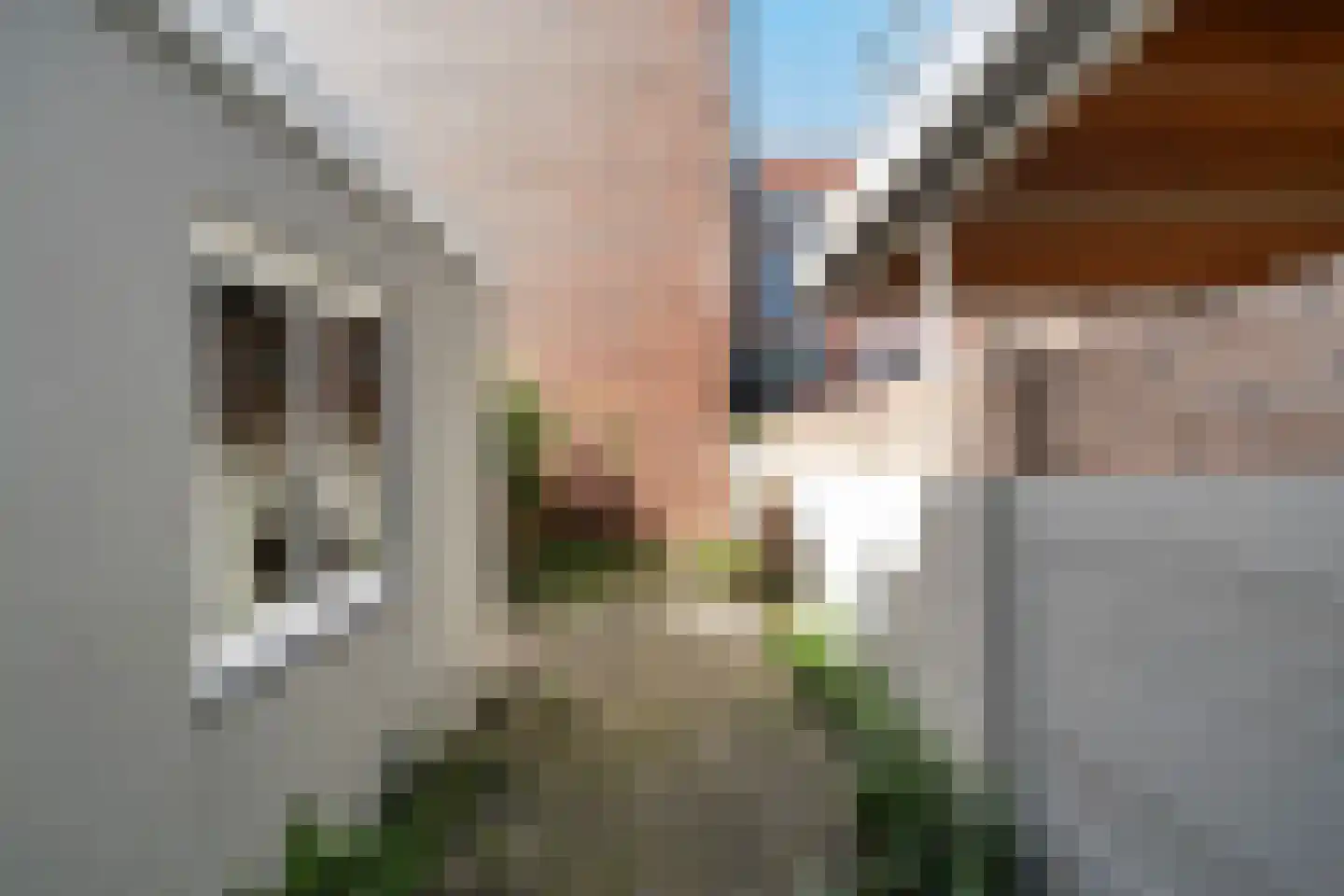 Hofwijckplein 80 Den Haag thumbnail 19