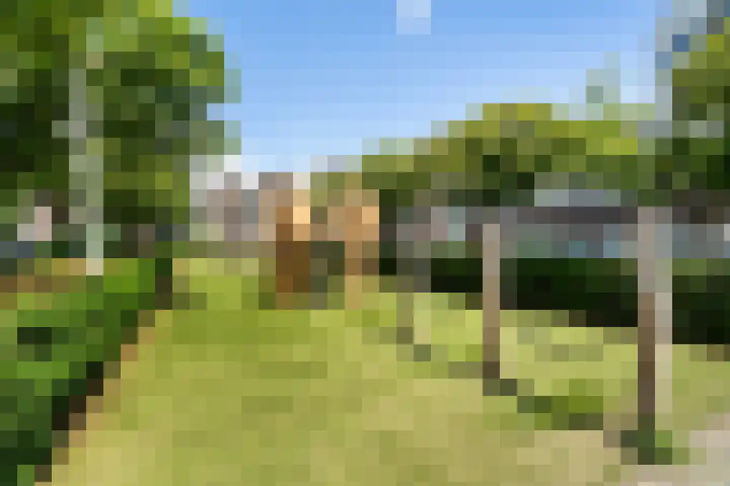Hofwijckplein 80 Den Haag thumbnail 24