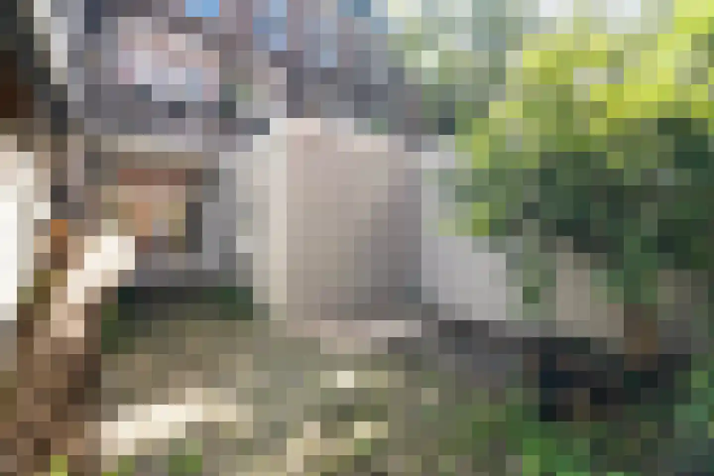 Hofwijckplein 80 Den Haag thumbnail 4
