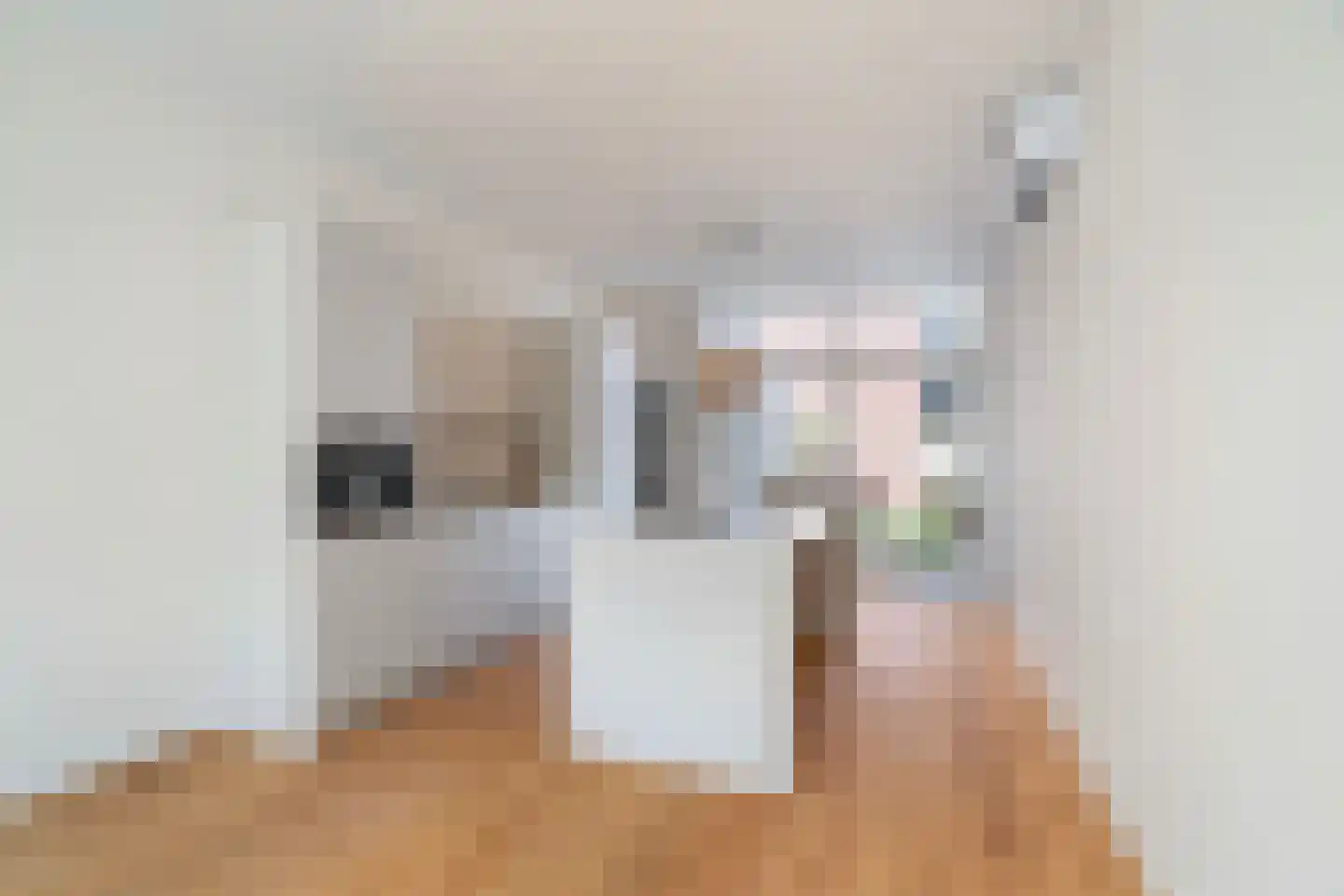 Hofwijckplein 80 Den Haag thumbnail 7