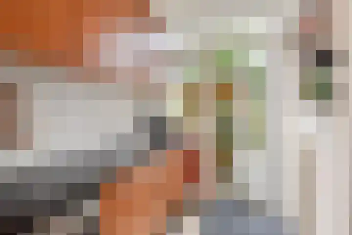 Hofwijckstraat 16 Voorburg thumbnail 22