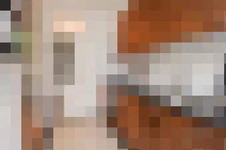 Hofwijckstraat 16 Voorburg thumbnail 23