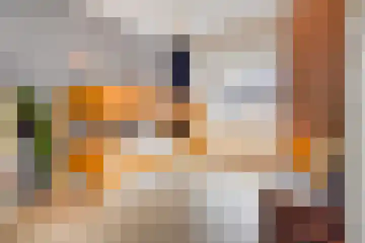 Hofwijckstraat 16 Voorburg thumbnail 28
