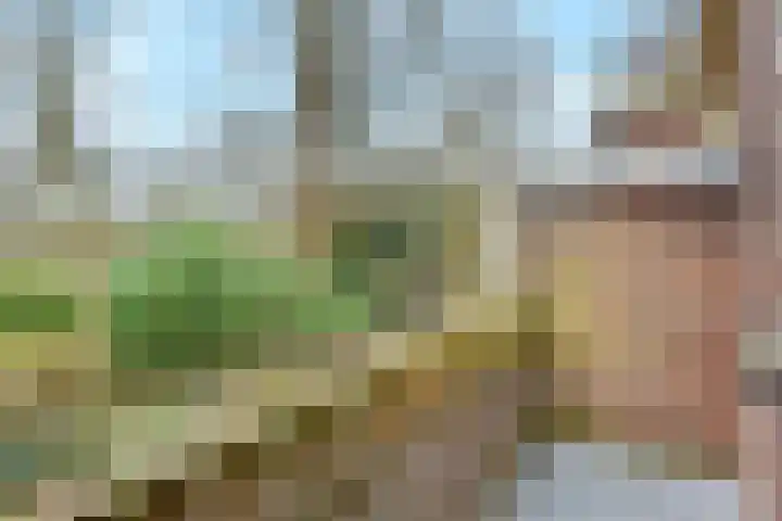 Hofwijckstraat 16 Voorburg thumbnail 40