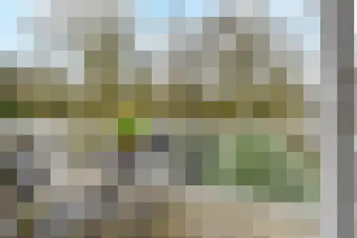Hofwijckstraat 16 Voorburg thumbnail 5