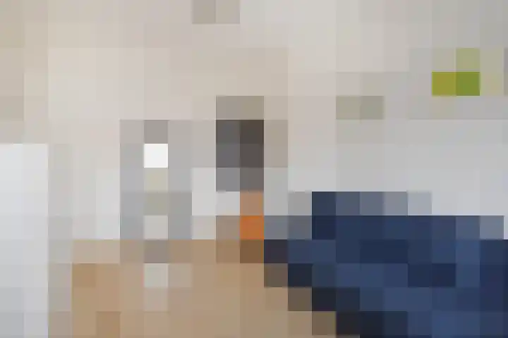 Hofwijckstraat 16 Voorburg thumbnail 52