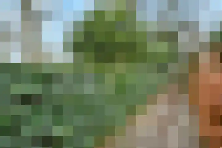 Hofwijckstraat 16 Voorburg thumbnail 55