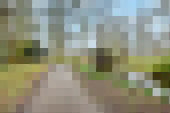 Hofwijckstraat 16 Voorburg thumbnail 56