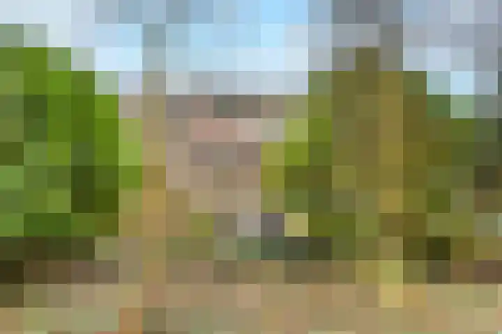 Hofwijckstraat 16 Voorburg thumbnail 58