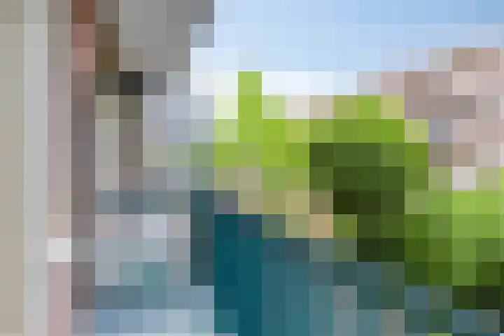 Hofwijckstraat 20 2 Amsterdam thumbnail 16