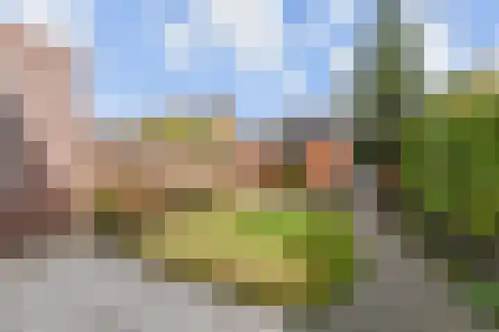 Hofwijk 9 Wateringen thumbnail 22
