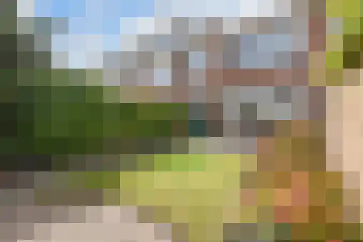 Hofwijk 9 Wateringen thumbnail 24