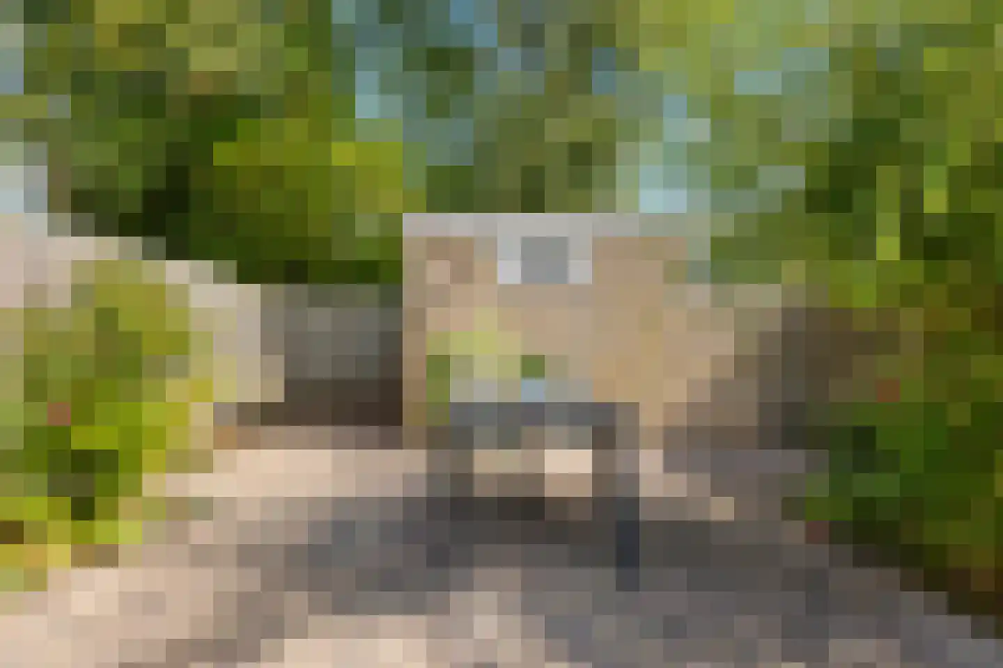 Hofwijkstraat 20 Arnhem thumbnail 33