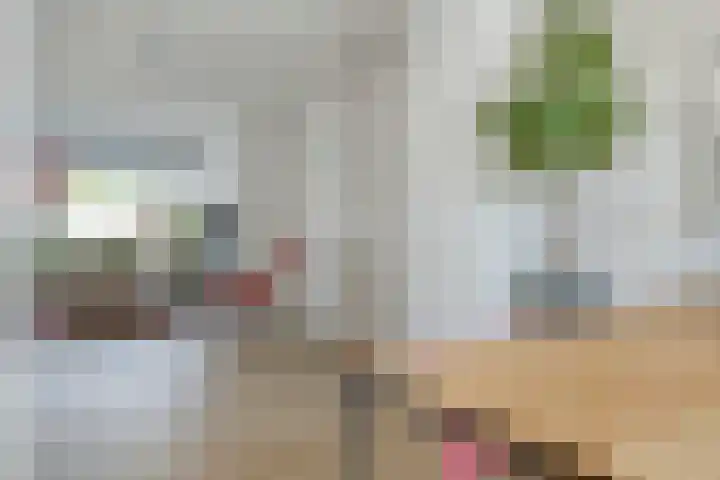 Hofwijkstraat 9 Breda thumbnail 8