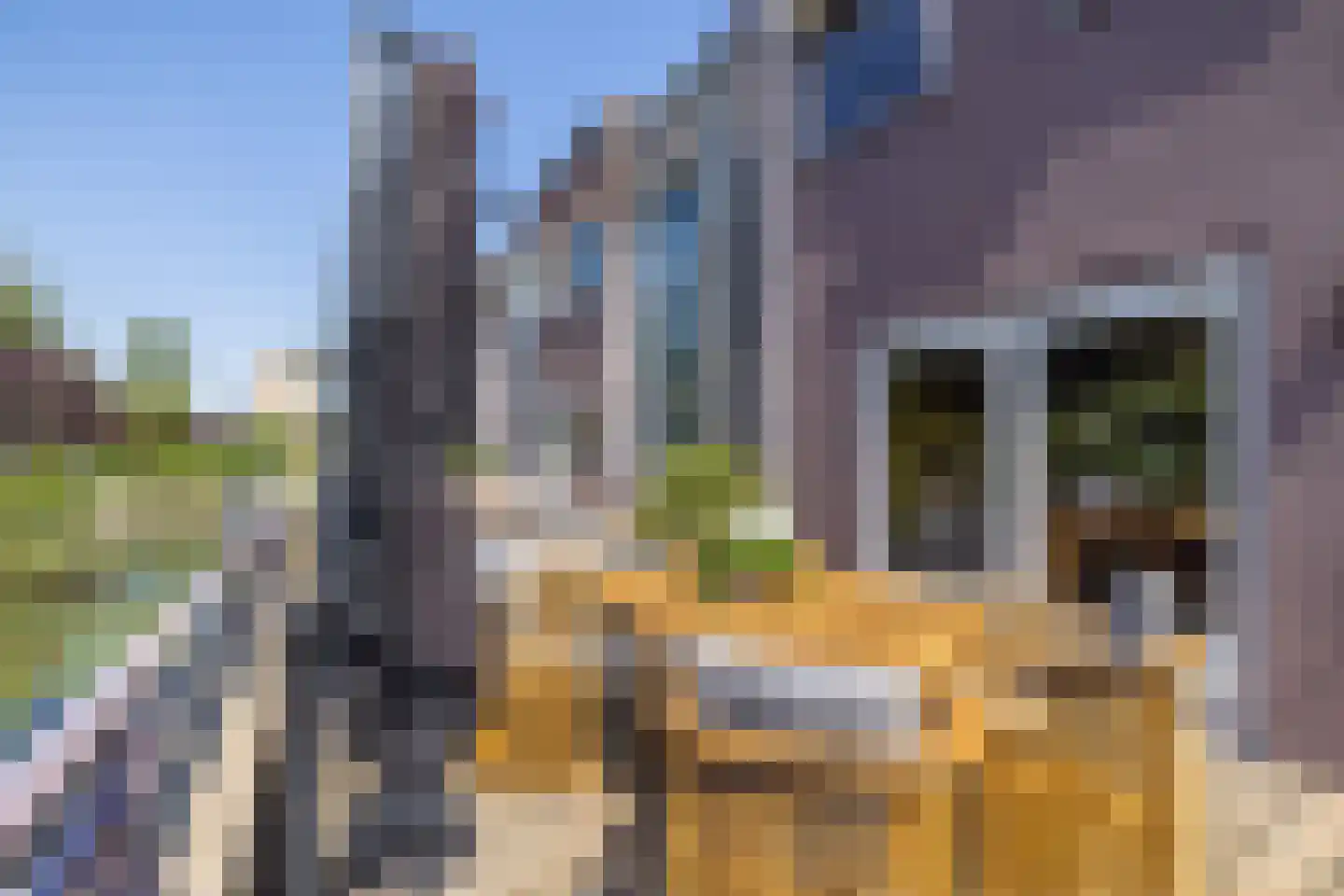 Hofzicht 10 Hillegom thumbnail 20