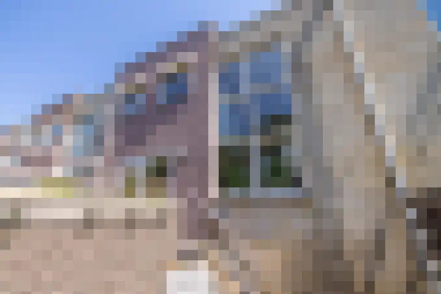 Hofzicht 10 Hillegom thumbnail 21