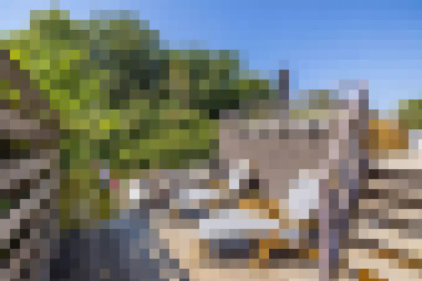 Hofzicht 10 Hillegom thumbnail 22