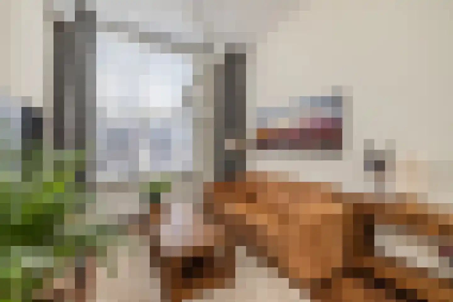 Hofzicht 10 Hillegom thumbnail 28
