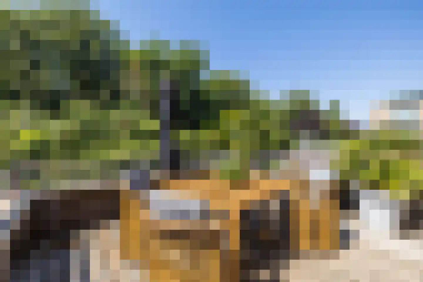 Hofzicht 10 Hillegom thumbnail 4