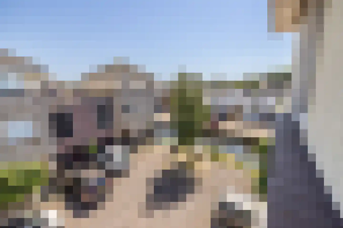 Hofzicht 10 Hillegom thumbnail 63