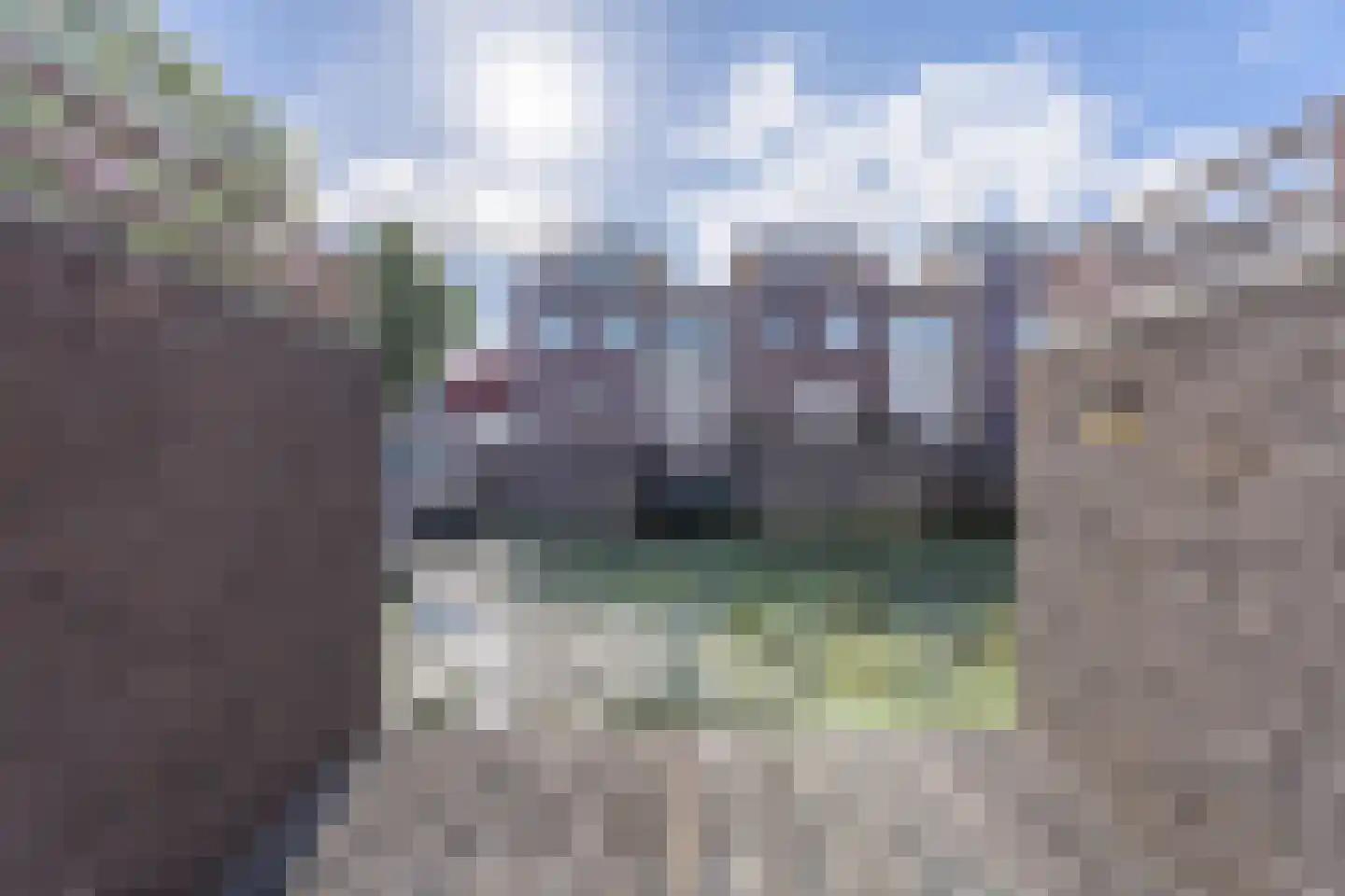 Hofzicht 14 Hillegom thumbnail 12