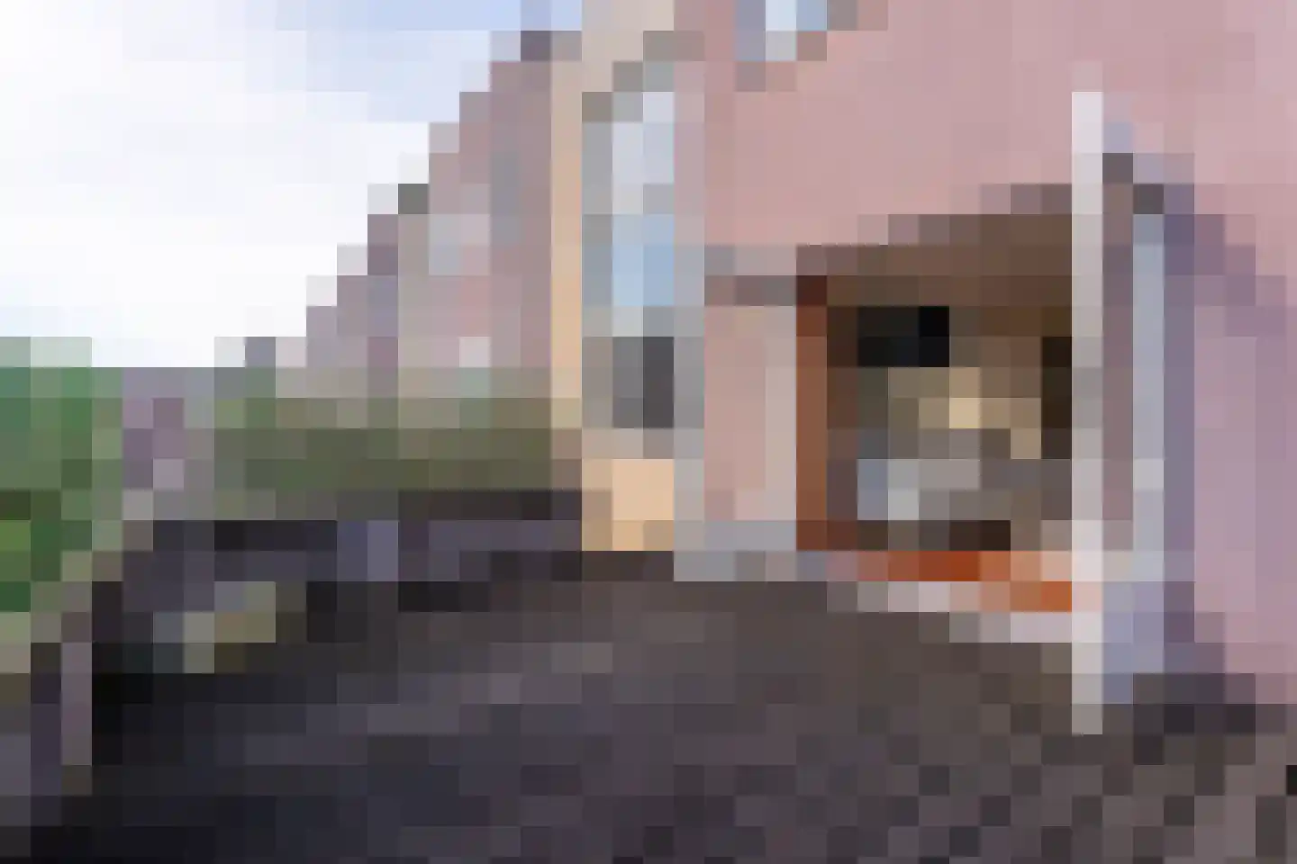 Hofzicht 14 Hillegom thumbnail 14