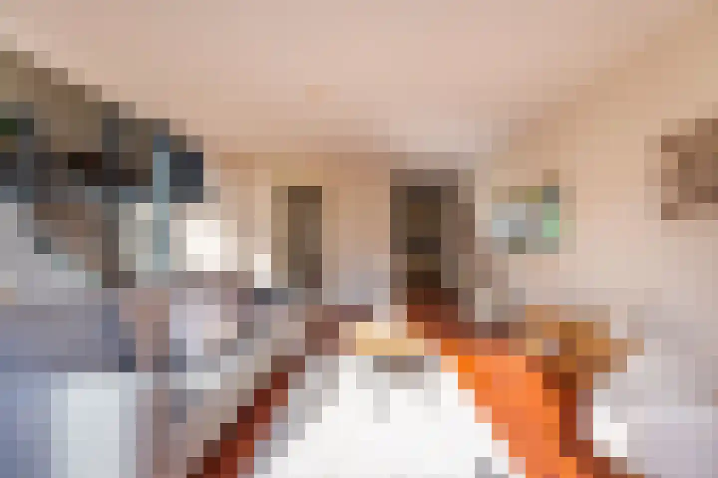 Hofzicht 14 Hillegom thumbnail 15