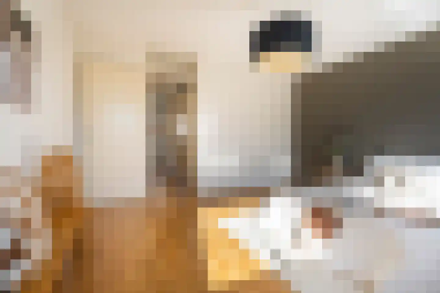 Hofzicht 14 Hillegom thumbnail 32