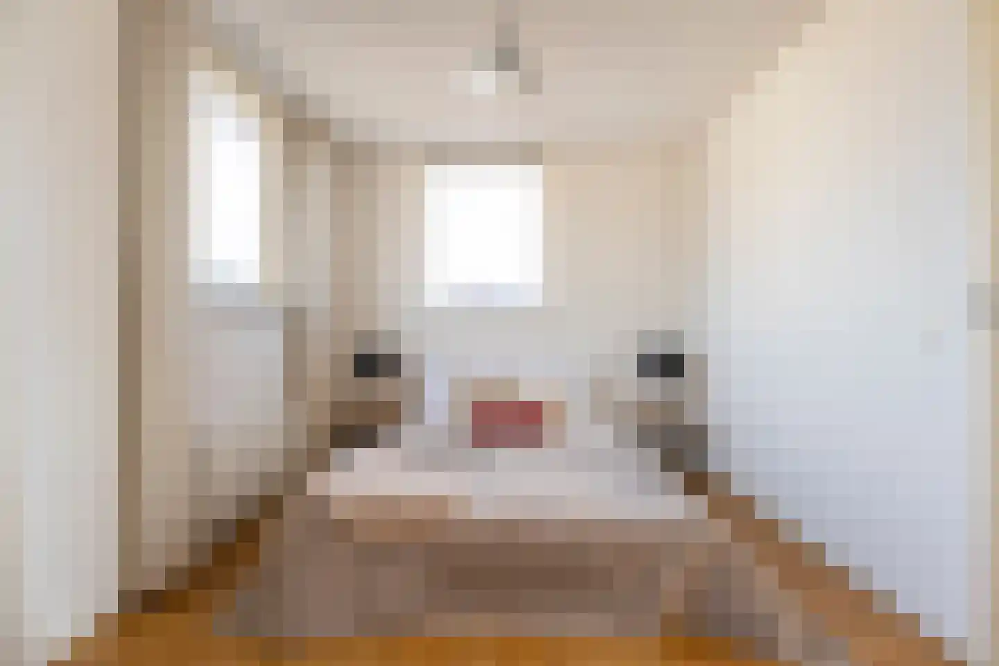 Hofzicht 14 Hillegom thumbnail 46