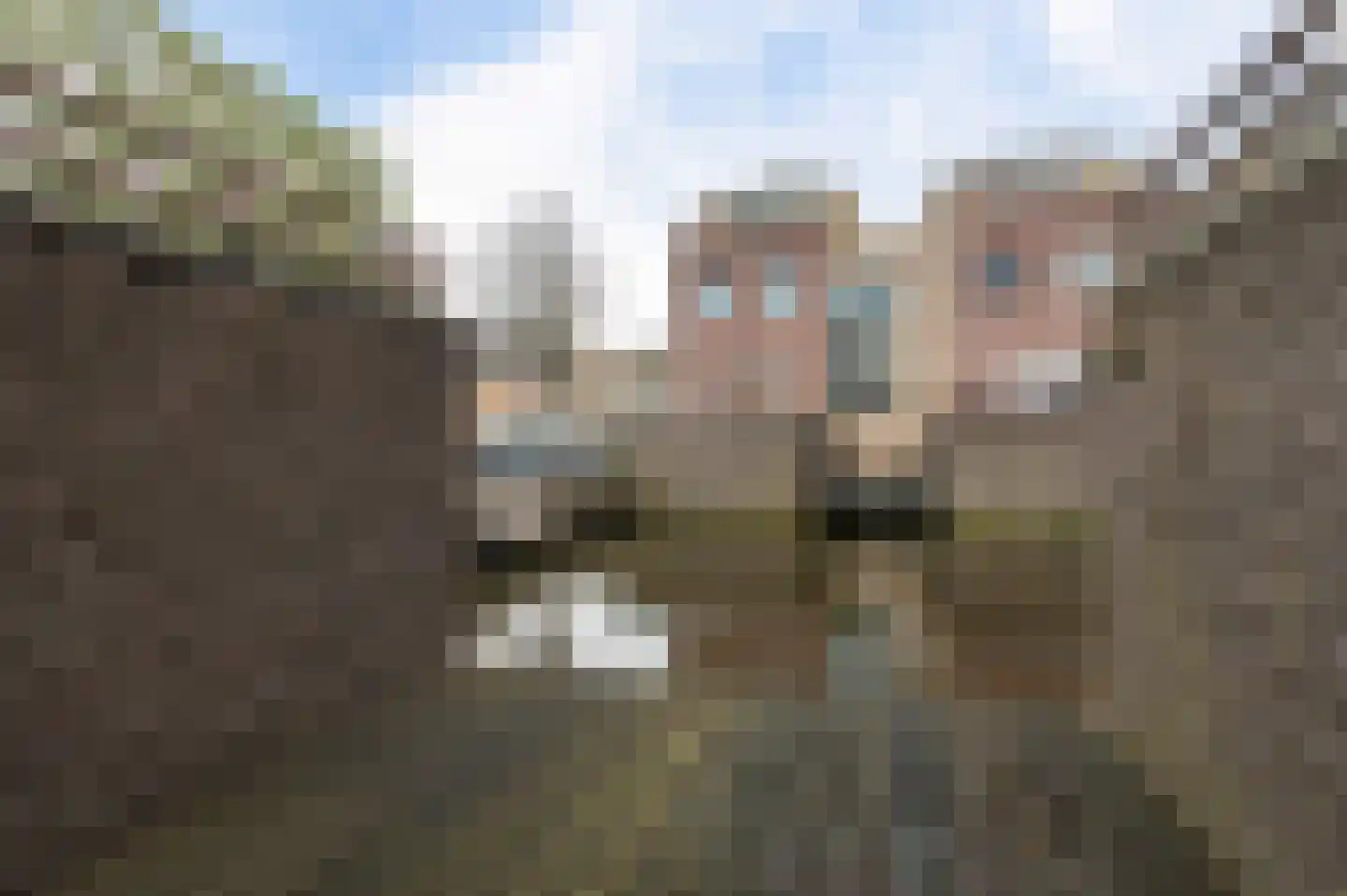 Hofzicht 14 Hillegom thumbnail 6