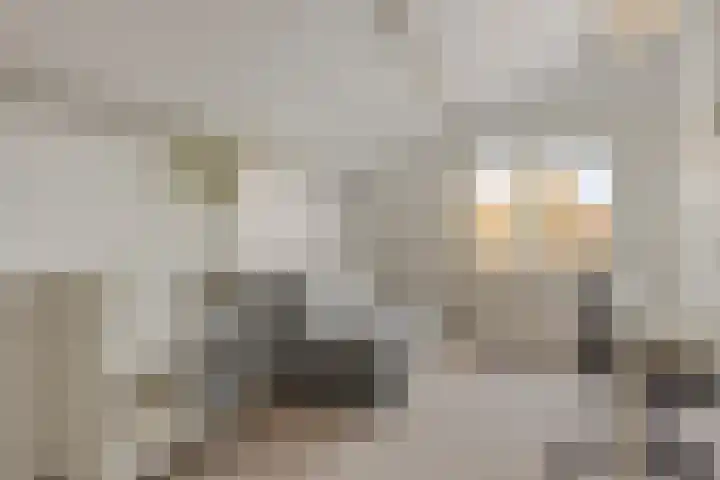 Hofzicht 16 Pijnacker thumbnail 28