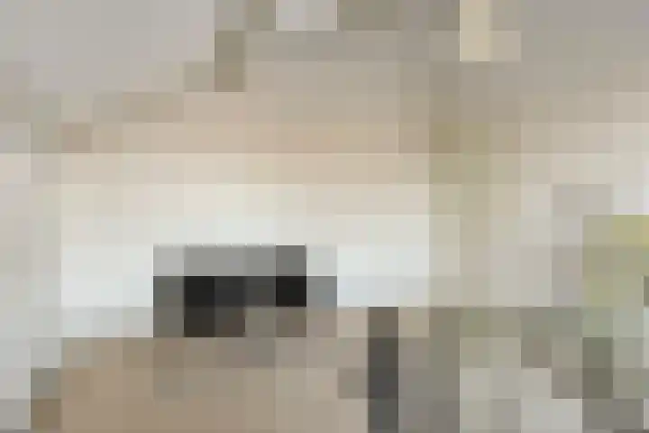 Hofzicht 16 Pijnacker thumbnail 33