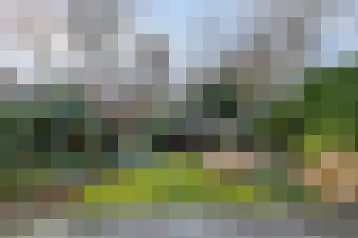Hofzicht 16 Pijnacker thumbnail 5