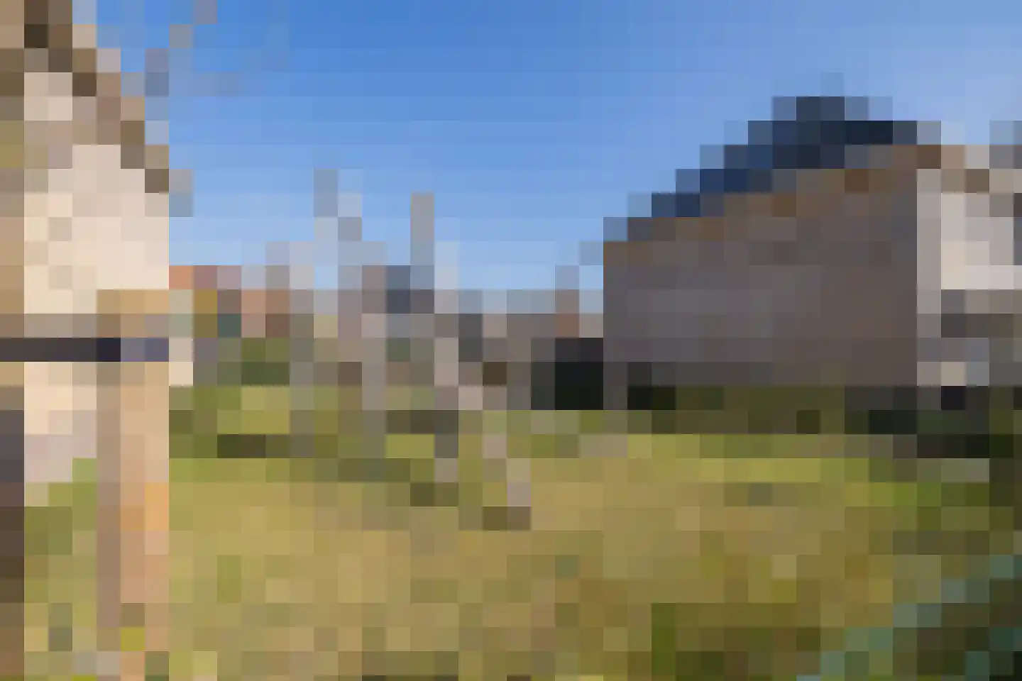 Hofzicht 26 Hillegom thumbnail 59