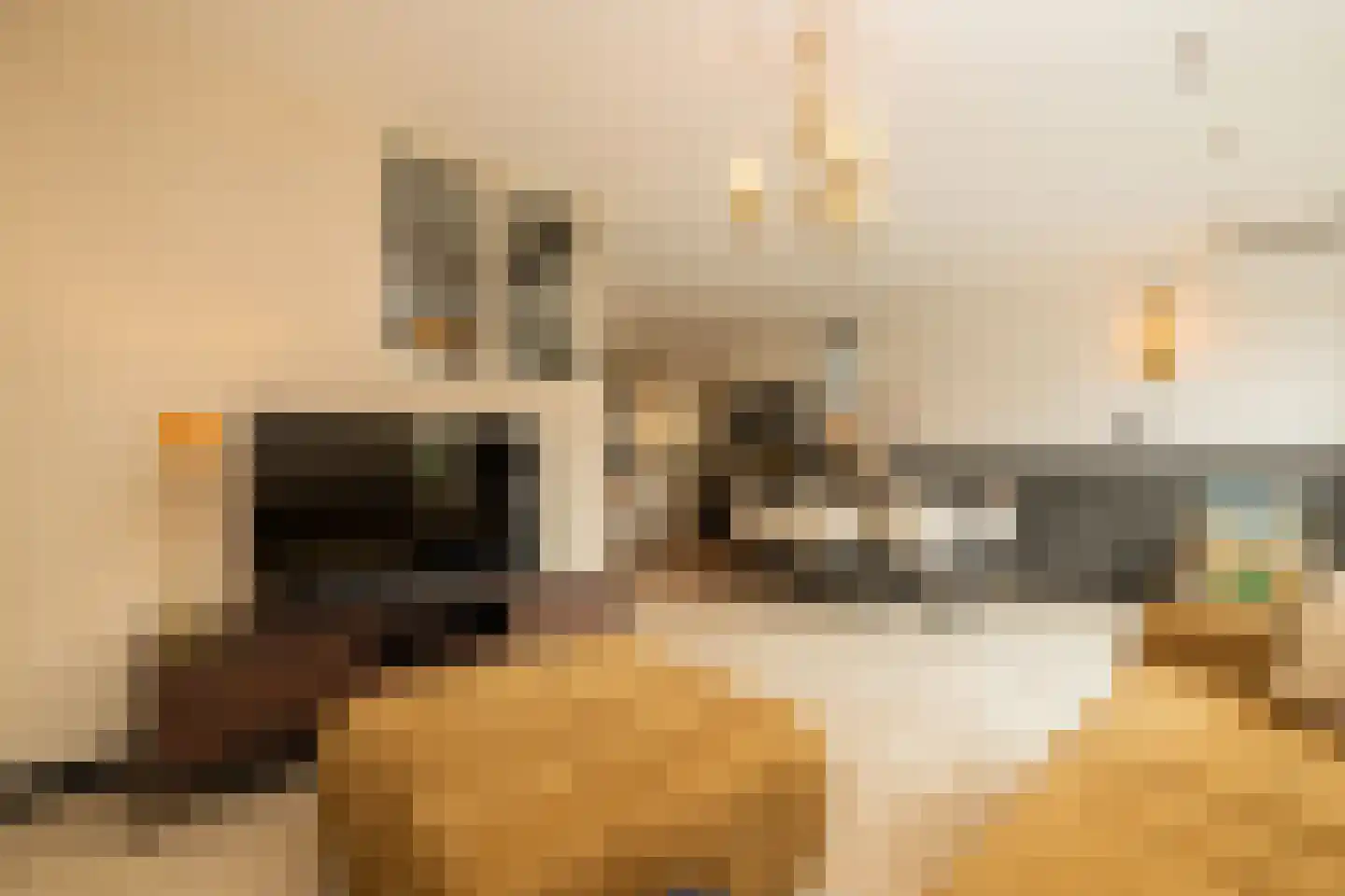Hofzicht 34 Honselersdijk thumbnail 12