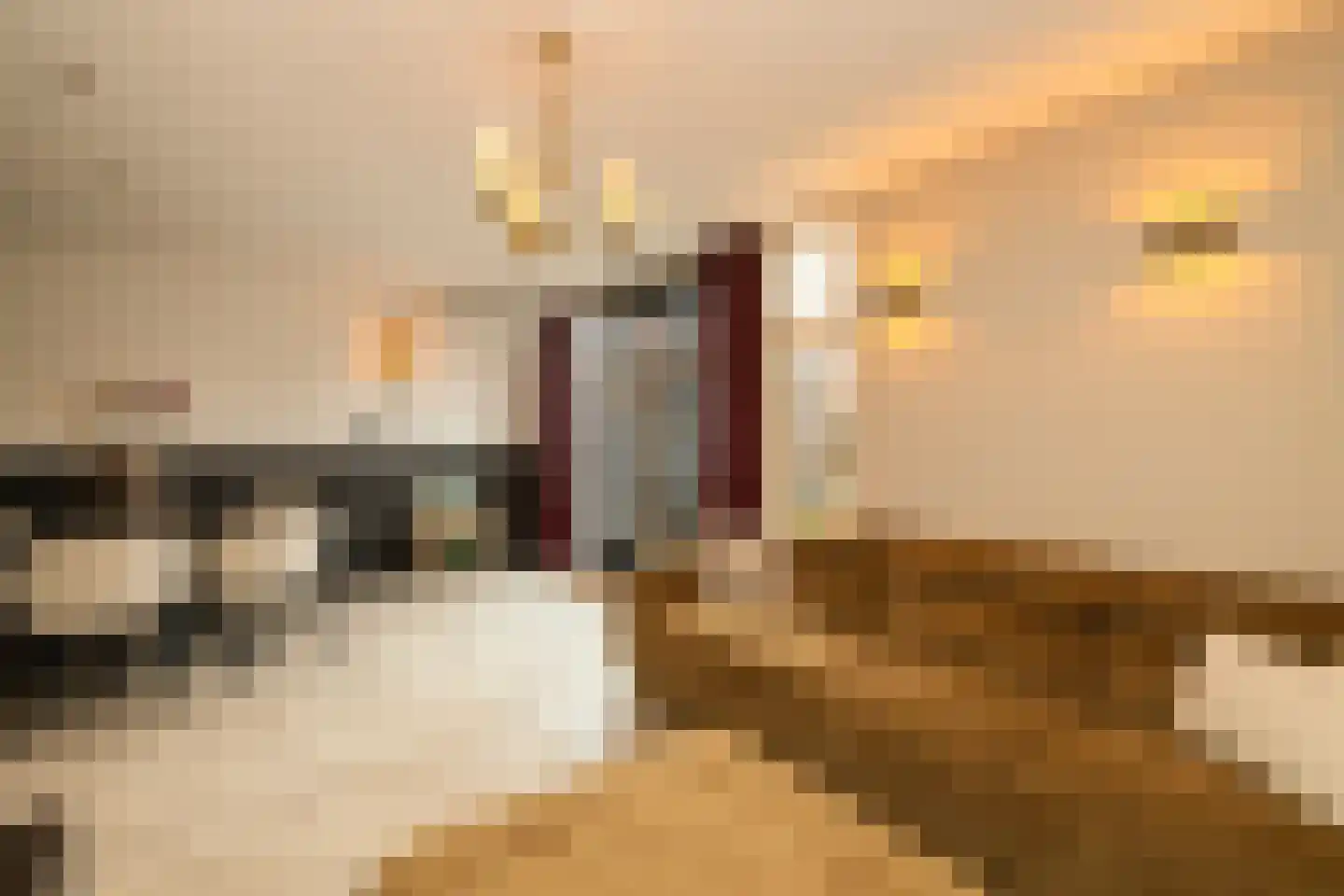 Hofzicht 34 Honselersdijk thumbnail 13