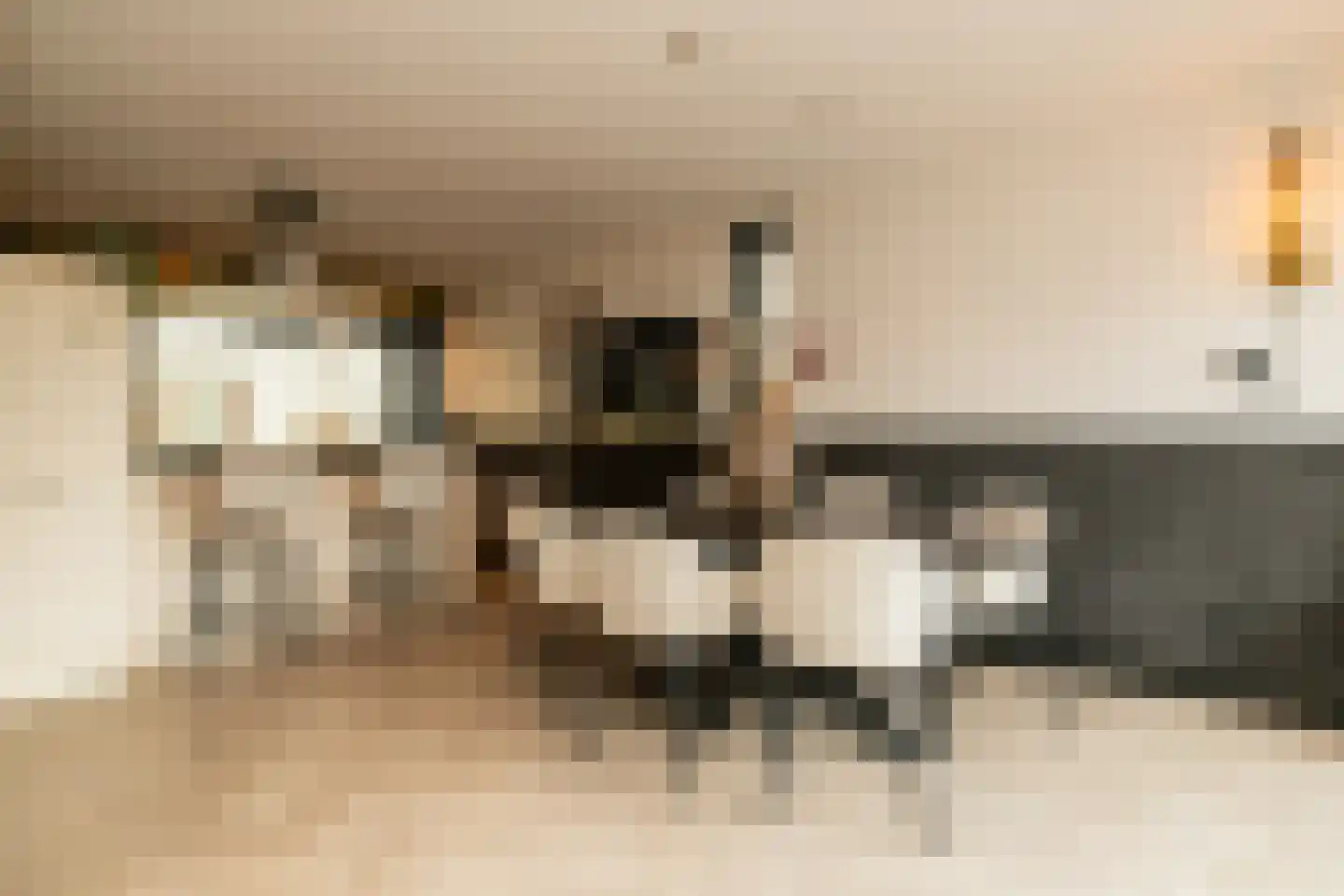 Hofzicht 34 Honselersdijk thumbnail 14