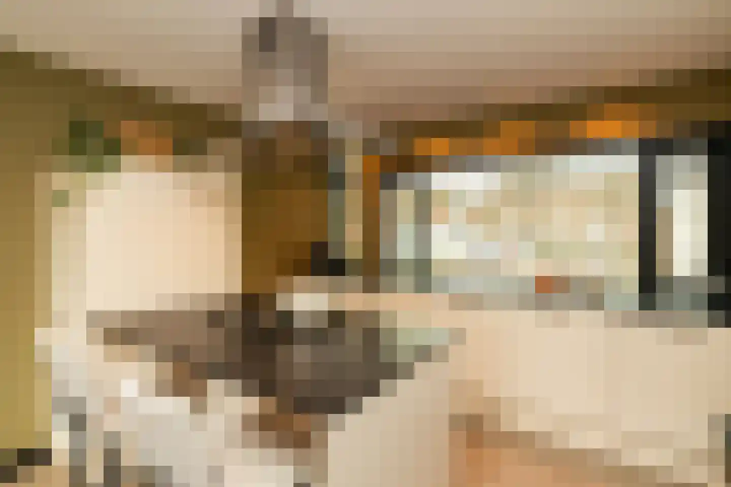 Hofzicht 34 Honselersdijk thumbnail 16