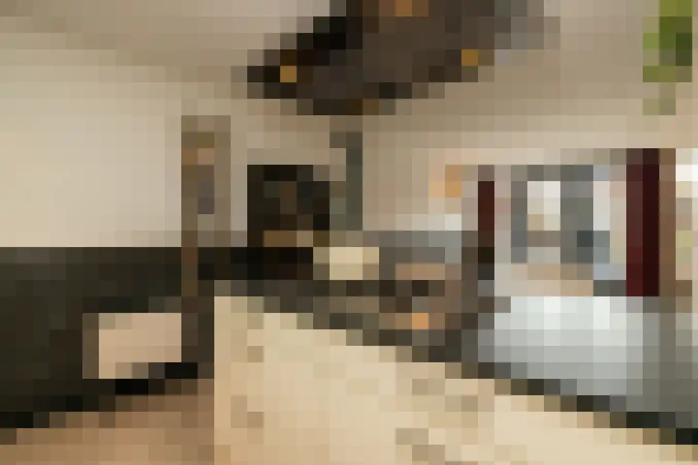 Hofzicht 34 Honselersdijk thumbnail 17